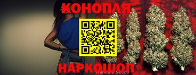 гашик Балахна