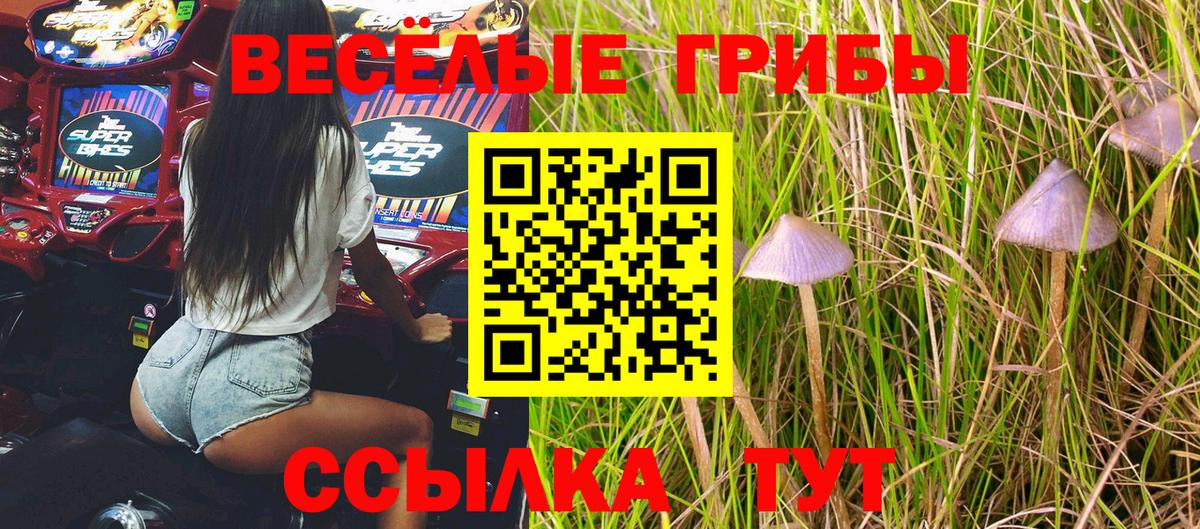 Псилоцибиновые грибы Cubensis  купить наркотики сайты  Губкинский  Вход с VPN  Галлюциногенные грибы Psilocybe 